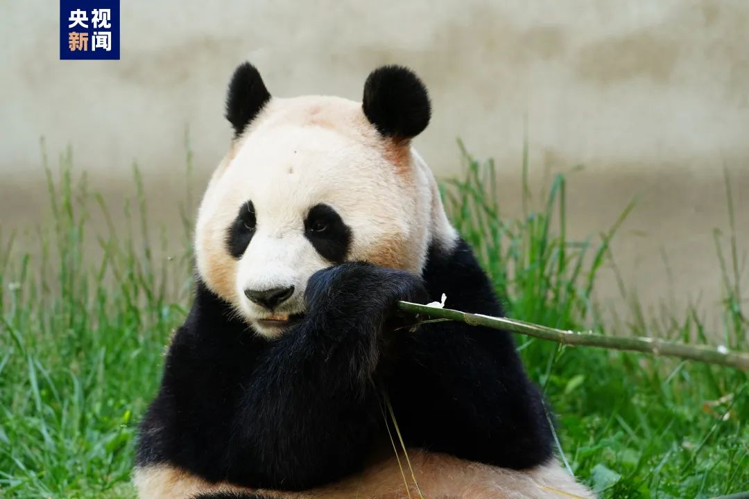 微信图片_20240612111741.jpg