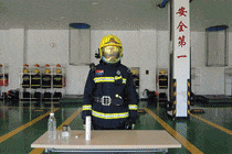 12.gif