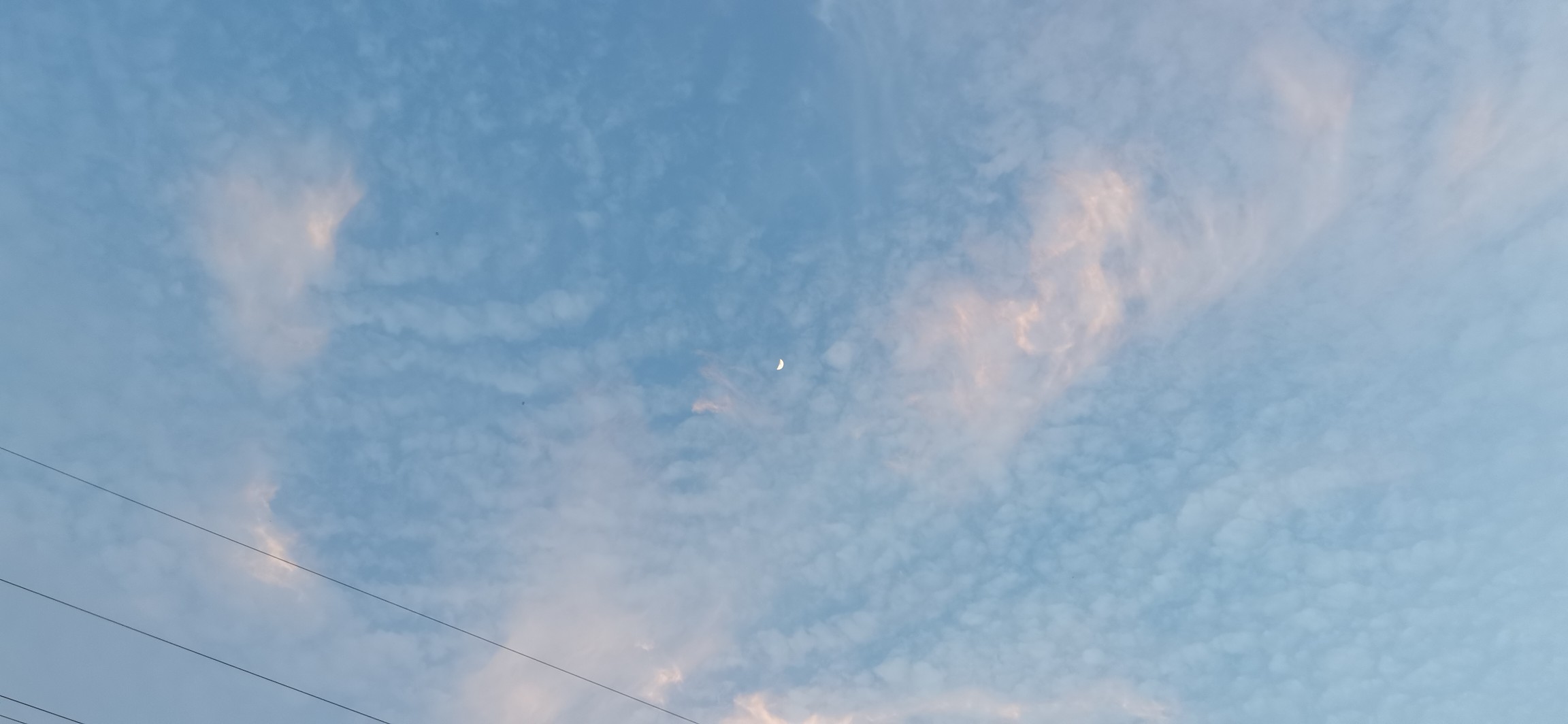 20240613192356front2_0_365956_Fh5jTFRcnvc1yqA9xZPYfCAFi4q_.jpg