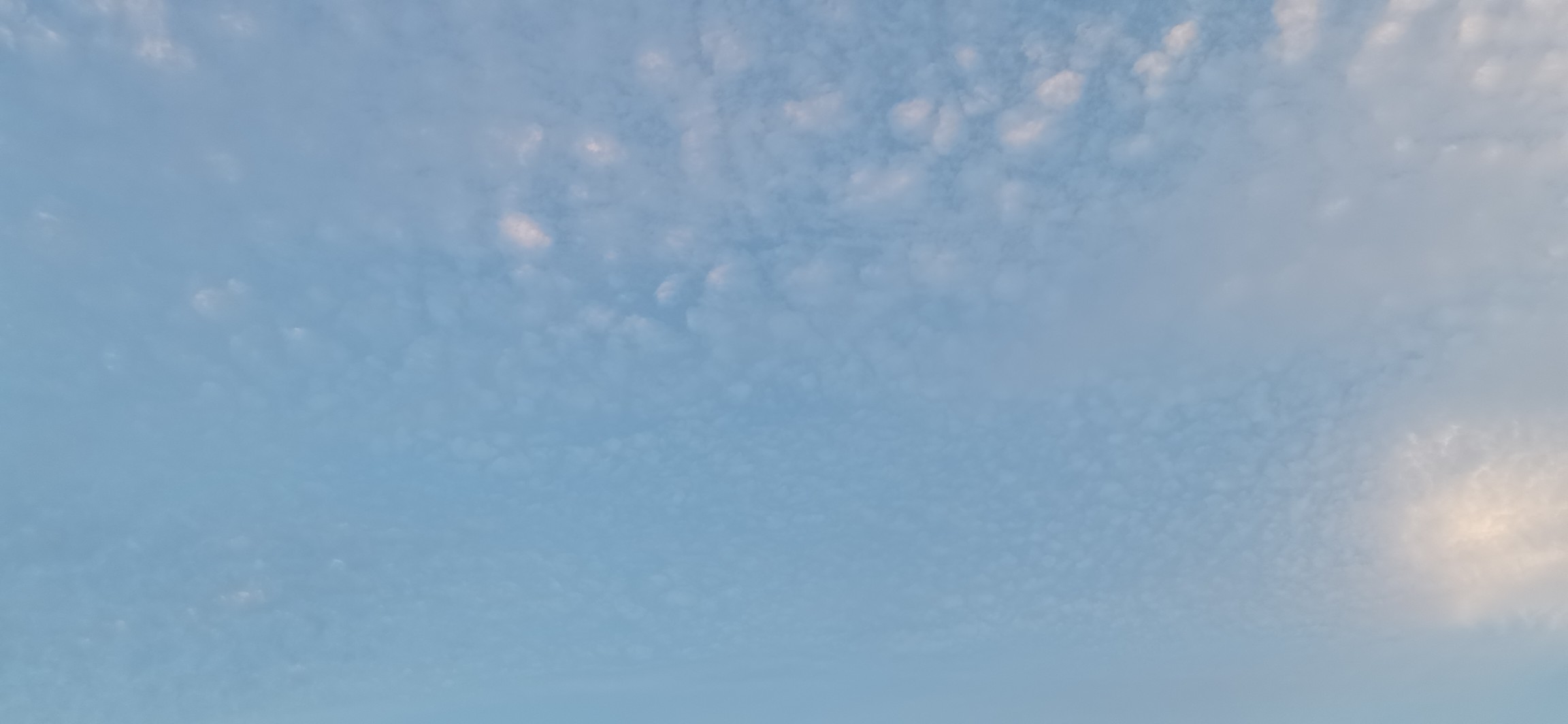 20240613192356front2_0_365956_FpiM9qDYxvHnpf2j6lE1LcG-CXSt.jpg
