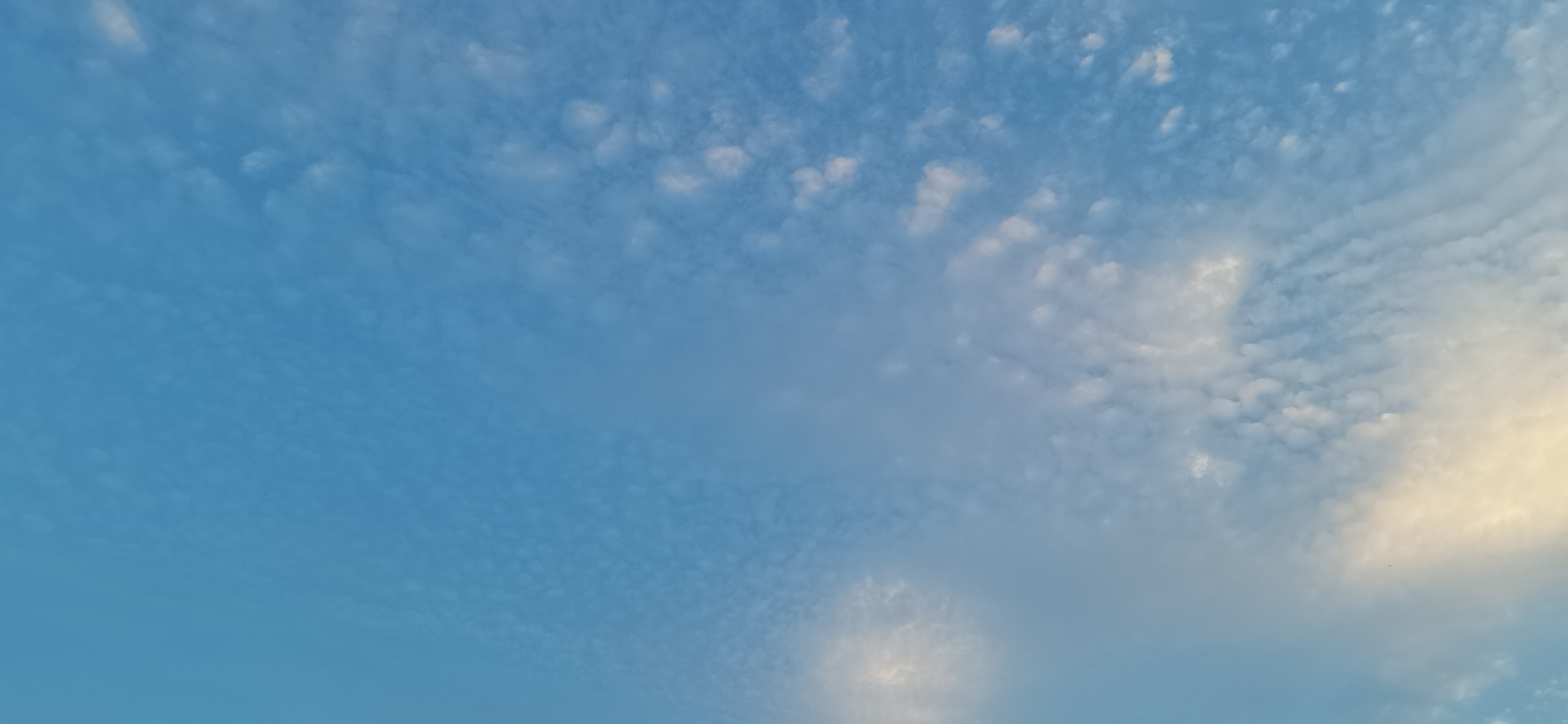 20240613192356front2_0_365956_FvCJPI18A8JPugQcsz_njzFVSv0P.jpg