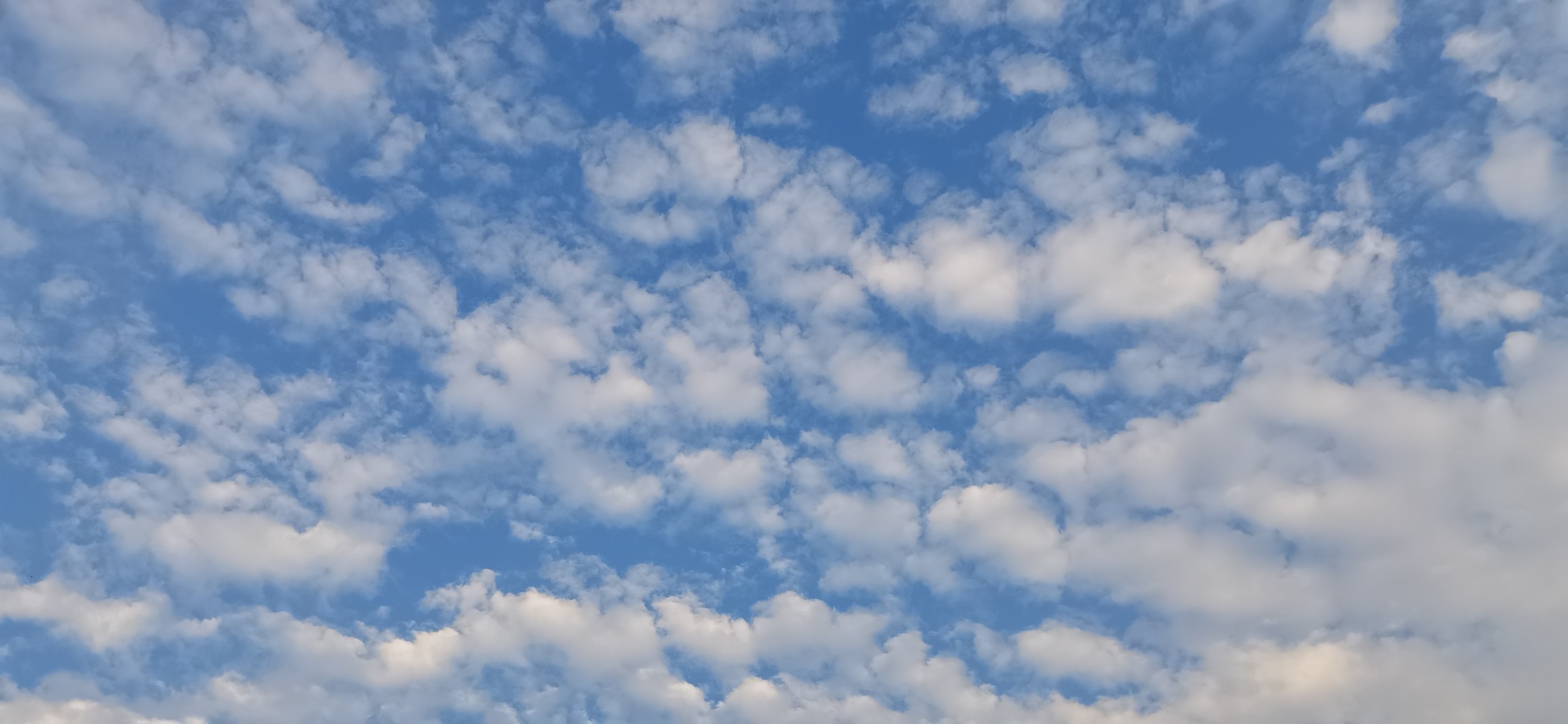 20240613192356front2_0_365956_FsPzwyA8ODSxeo9qHsgx5Nw45MR8.jpg