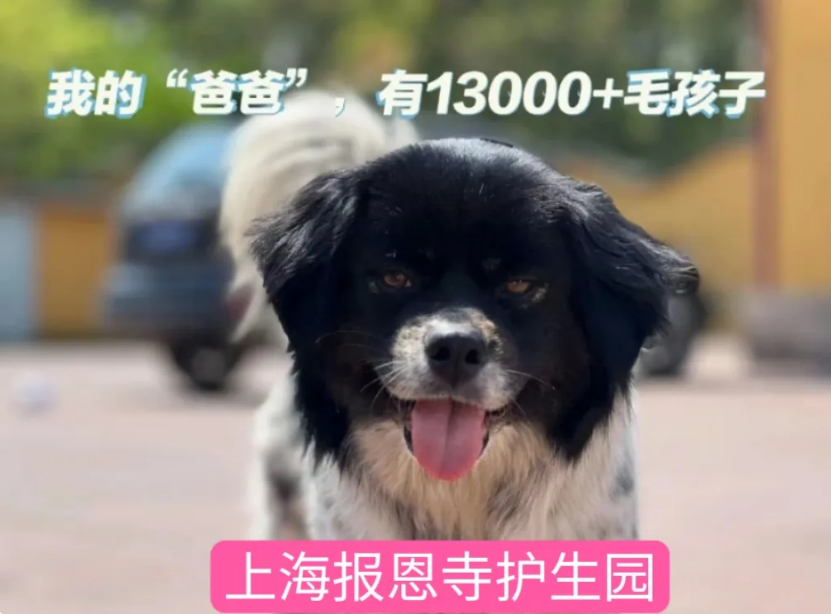 微信图片_20240613205141.png