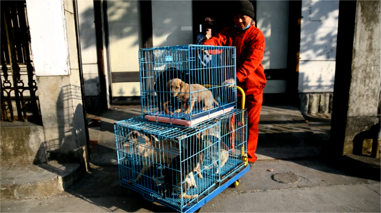微信图片_20240613204903.png