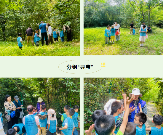 QQ浏览器截图20240616140711.png