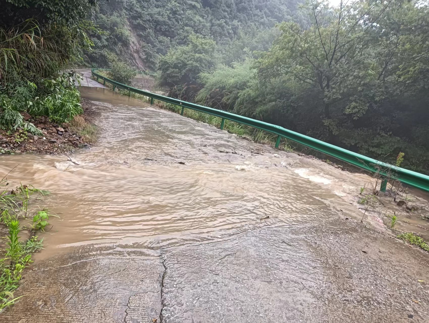 瀑雨3图片_20240622093638.jpg