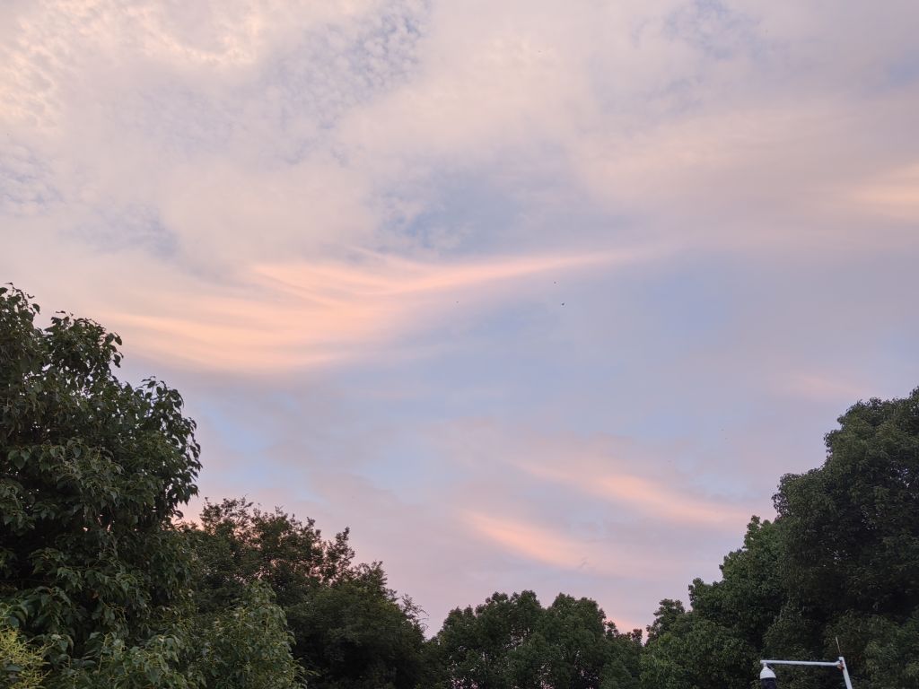 20240701044352front2_0_198517_FoXMjAE-8k0West2UizdgUR6tGtR.jpg