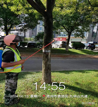 防治618 (2).png