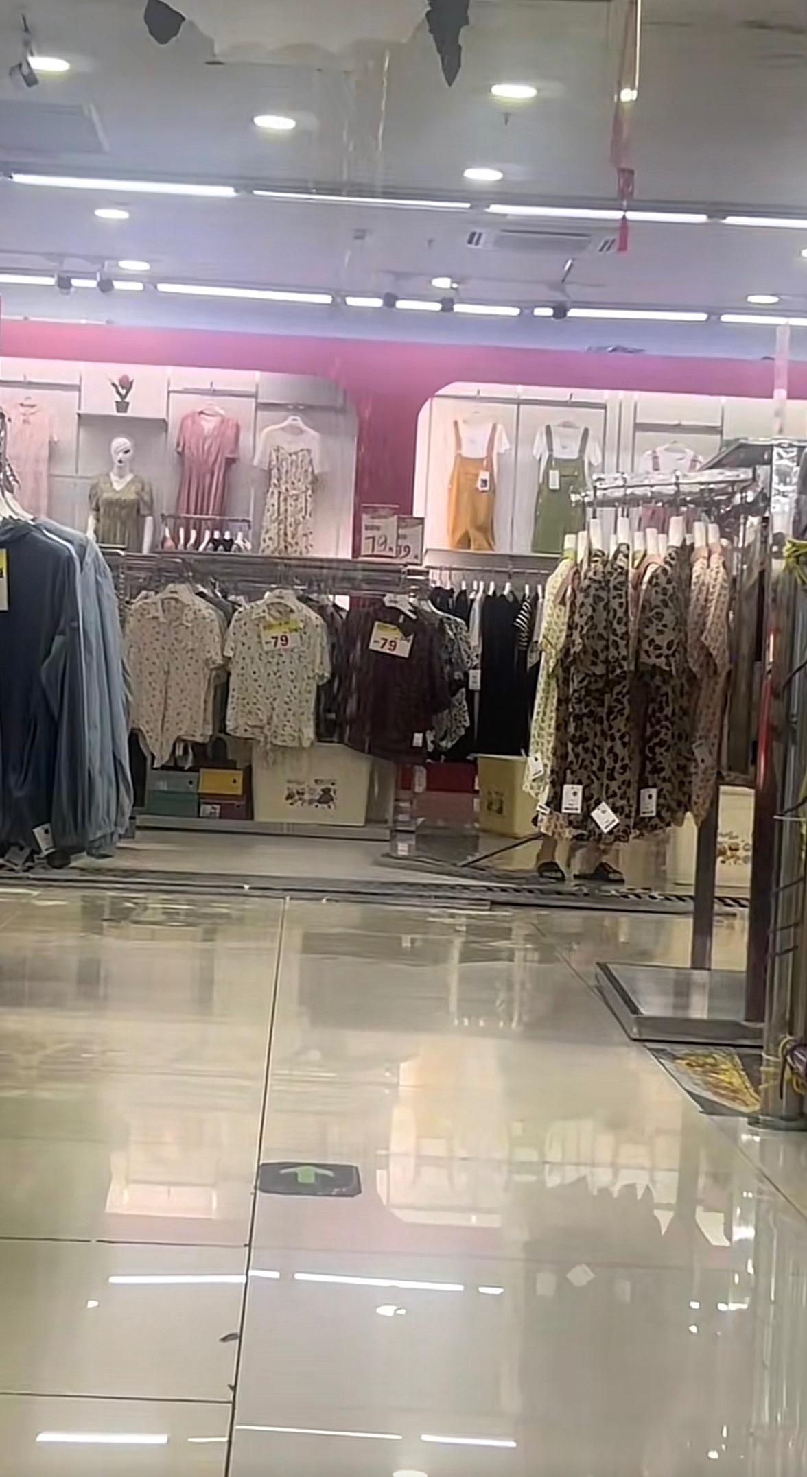 172087969532353655.jpeg