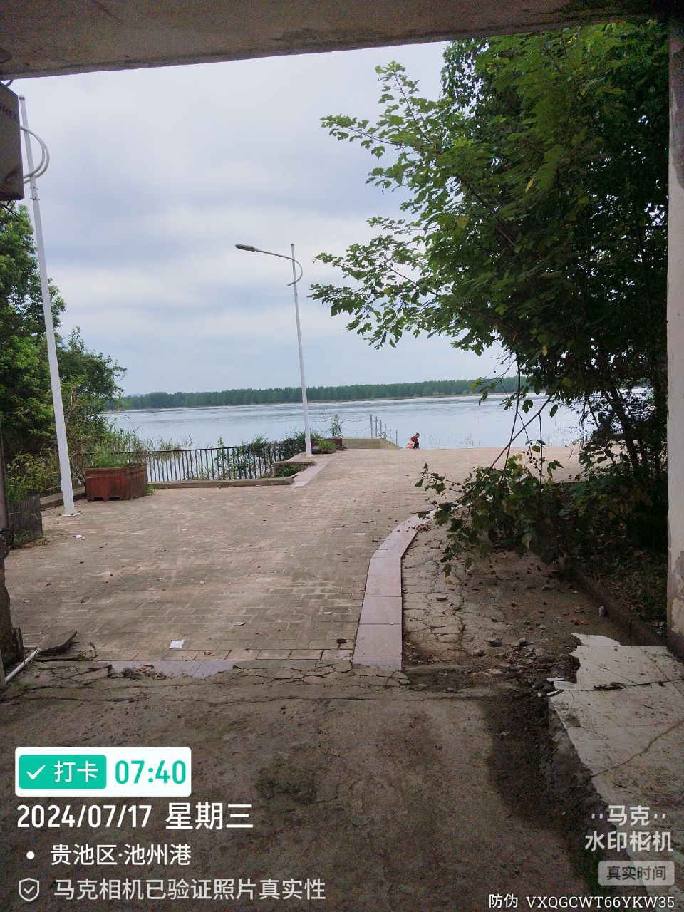20240717203940front2_0_372065_FilNiU8wQyJZV2Ry5nL5C9vO8RrI.jpg