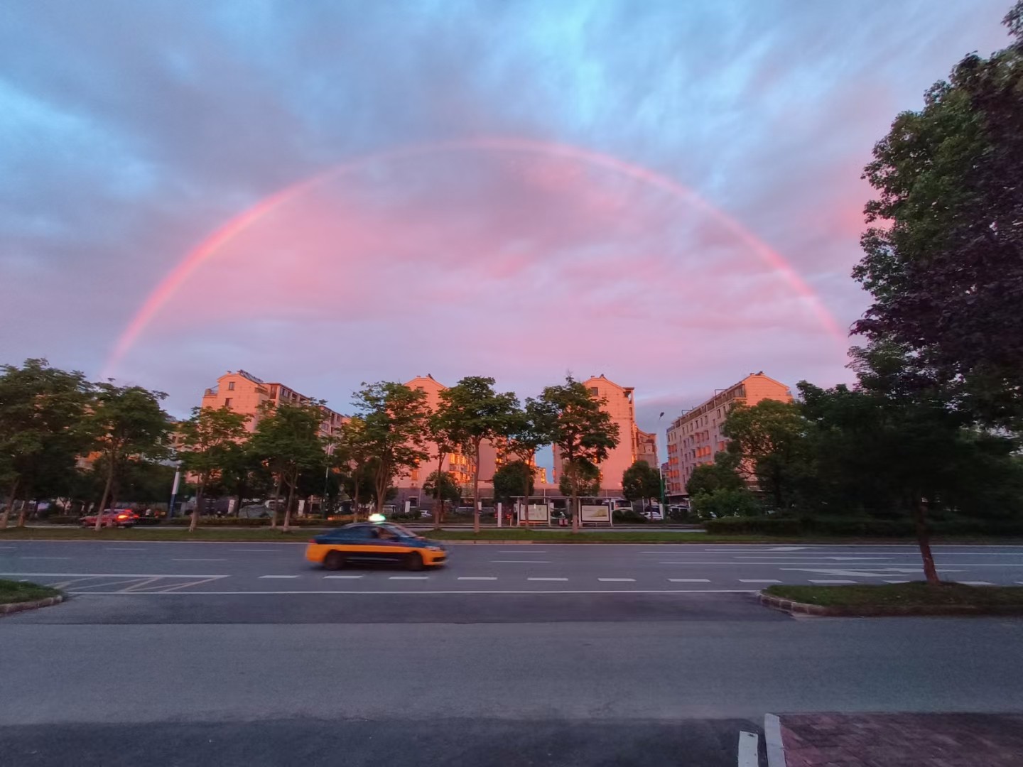 20240720214203front2_0_198517_Fs1-jaePjCYd1RcbDuxrPCVYi0zf.jpg