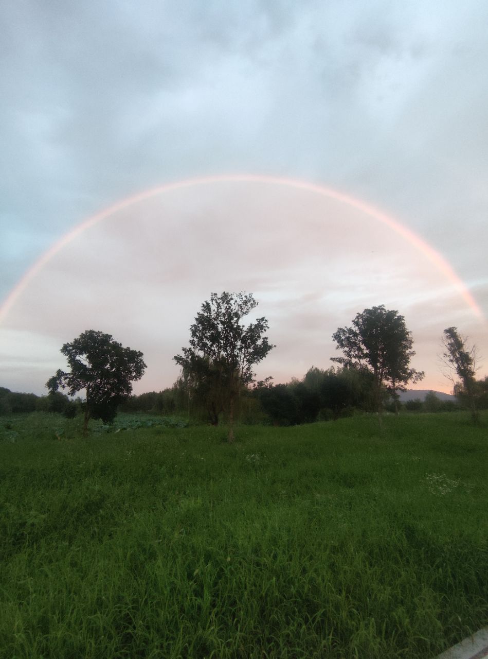 20240721084836front2_0_191522_FlHsLz2YAPk1NmZsh6QvHStsLqbU.jpg