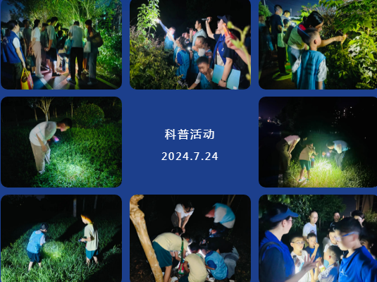 QQ浏览器截图20240724232216.png