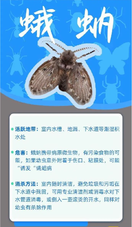 9f61fae8501ef8450b074b3c9b2e8ea.png
