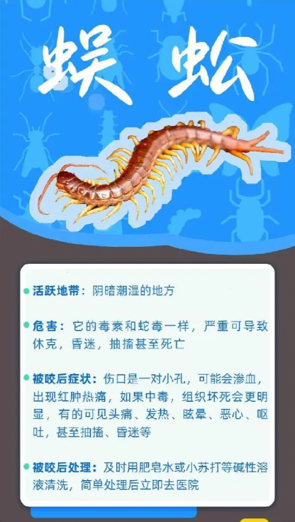 71a4f59cf824df6c1afb136ea4c2759.png