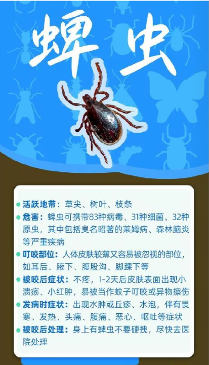 eb3d8ba35263ca698ab84aeac28b39e.png