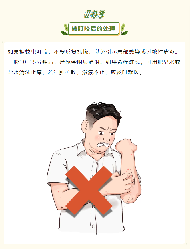 5.png