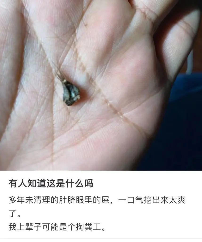 微信图片_20240805095451.jpg