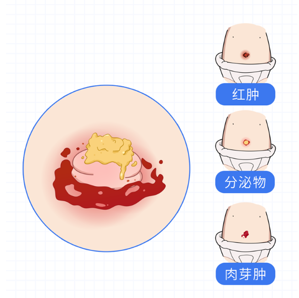 微信图片_20240805095457.png
