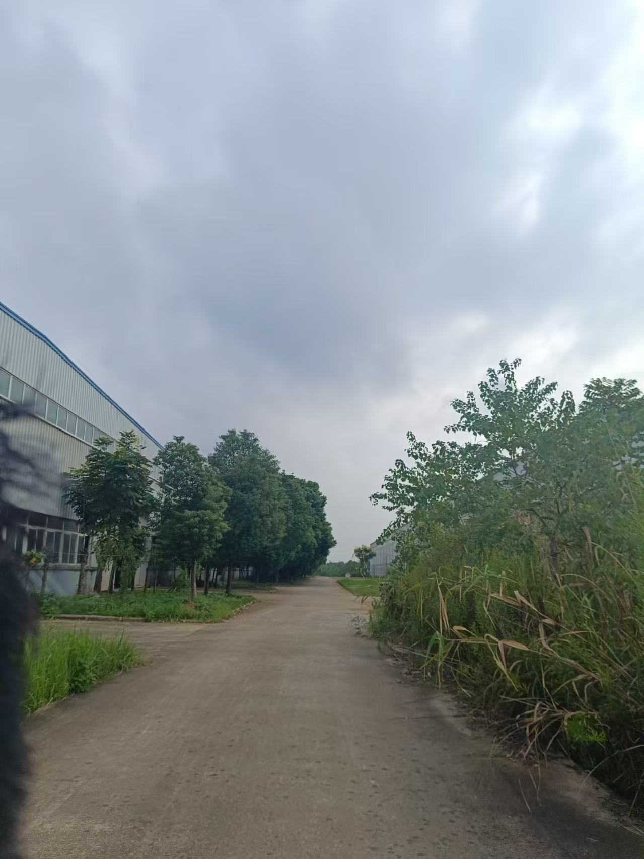 20240919094033front1_0_368550_Fh-mSEwK0QLXuIq6NwkU1vreuQI3.jpg