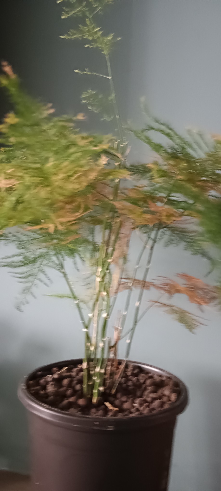 20241001174828front2_0_277725_FkrgUbD9VO3gbGbbHx53v6jthX3q.jpg
