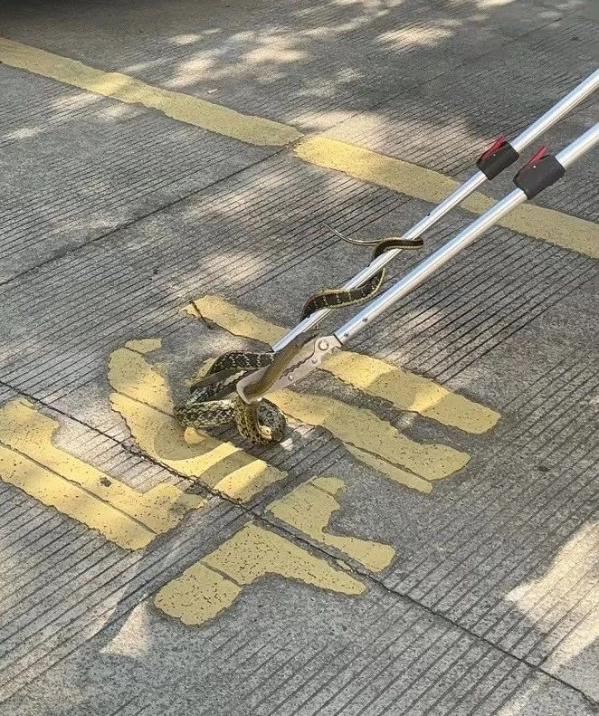 微信图片_20241010175407.jpg