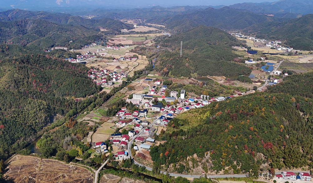 DJI_20241113120232_0093_D_副本_副本.jpg