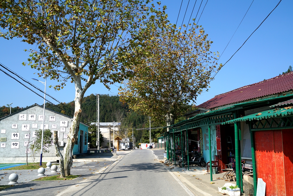 DSC04174_副本_副本.jpg