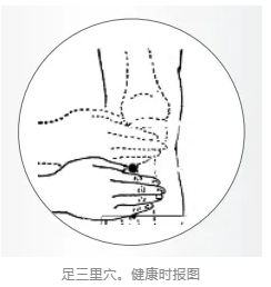 173297160313766889.png