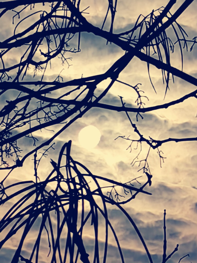 20241225114538front2_0_198517_FhzdvIjr4TlyVE4ugc78I8XyYX7P.jpg
