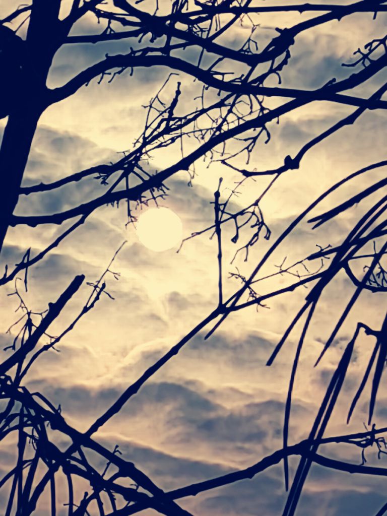 20241225114538front2_0_198517_FpeAKp2nphQzY5XpMWLsLSk6Fb8q.jpg