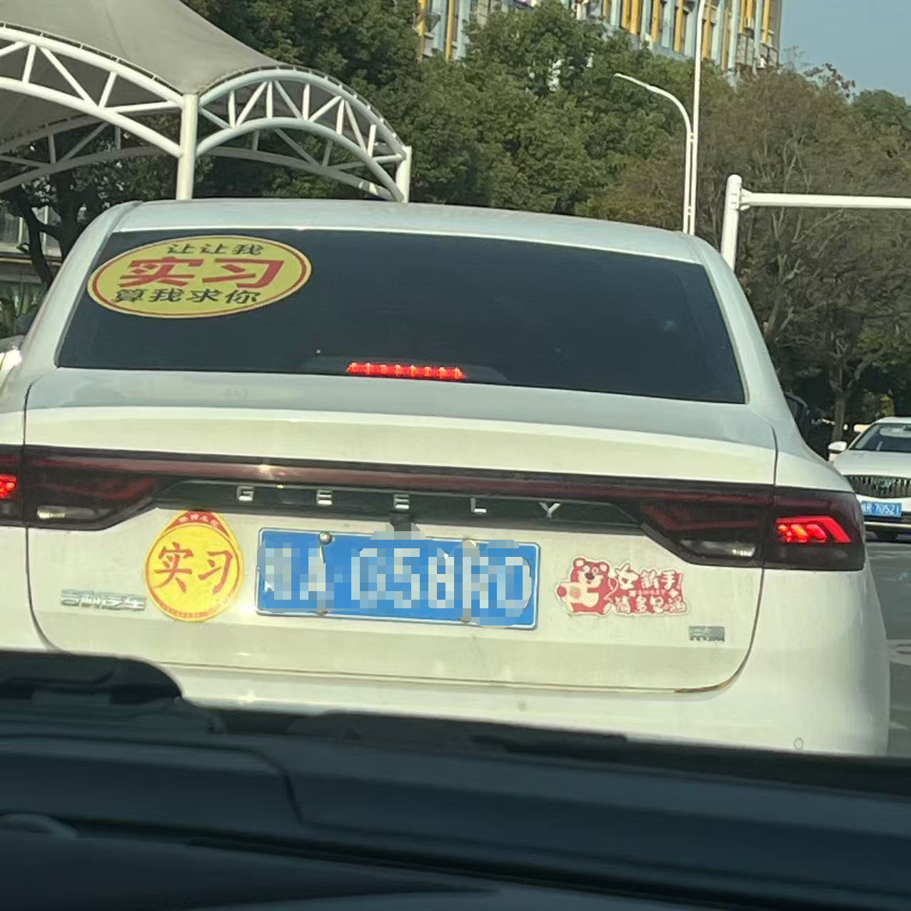173512022685533774.png