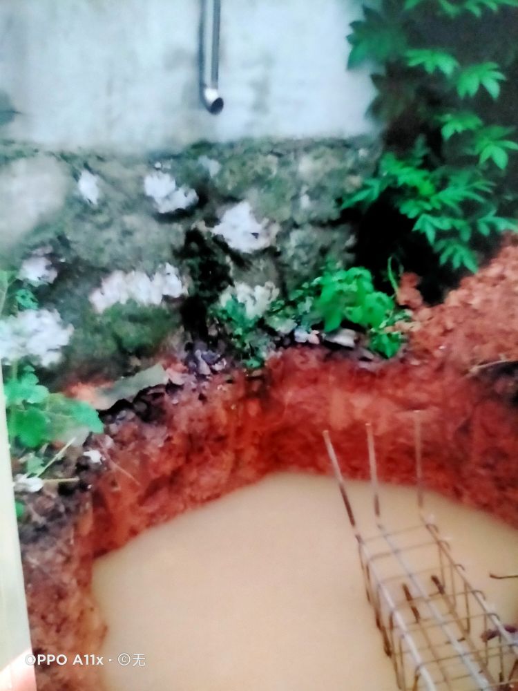 20250123075807front2_0_403414_FpRsUw-U2GMK8SonAmRHSN1UOc_p.jpg