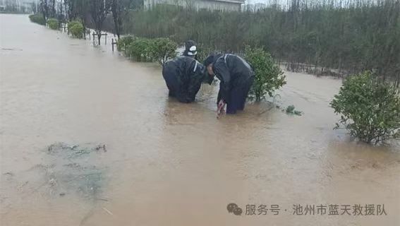 微信图片_20250125110004.jpg