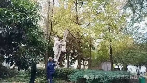 微信图片_20250125110036.jpg