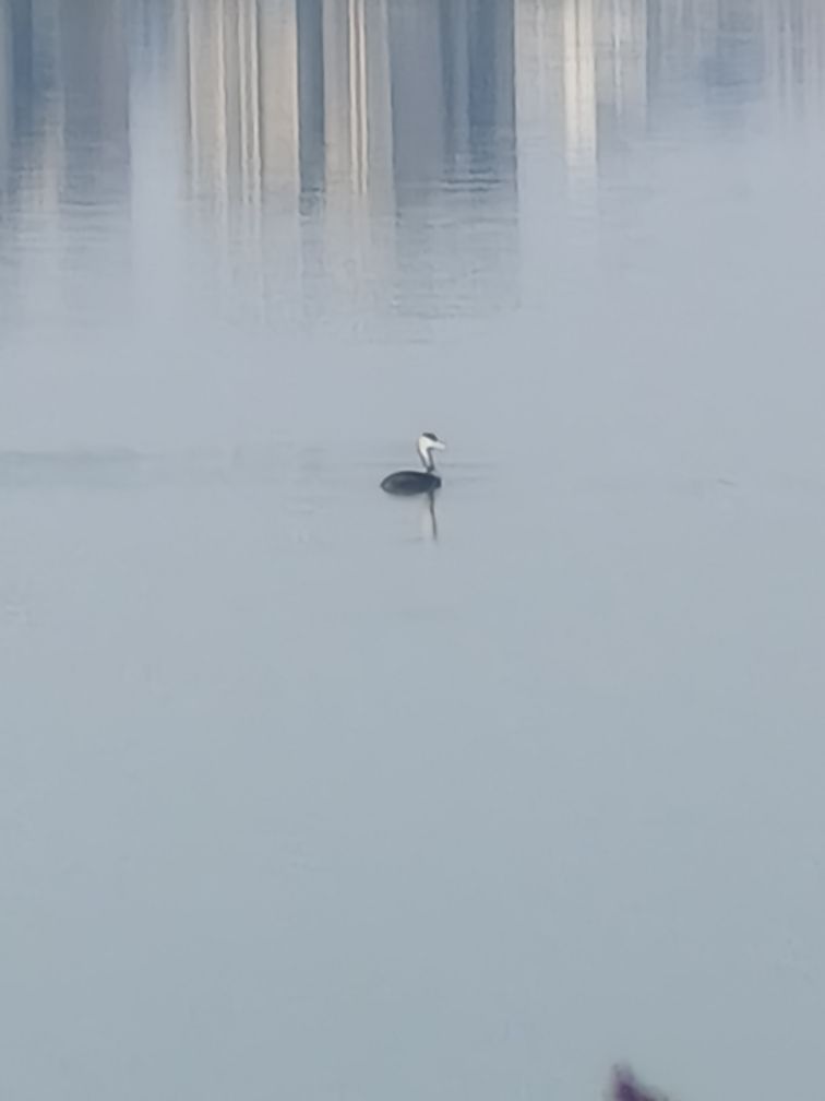 20250129233139front2_0_330004_FluaTzNOWVmhdbW606HF4UCHSugh.jpg