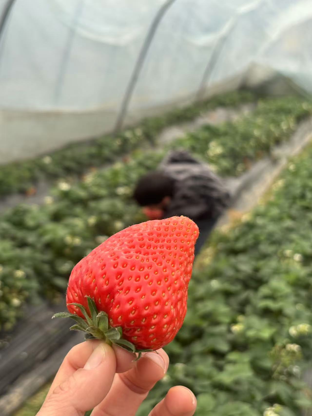 微信图片_20250224100533.jpg