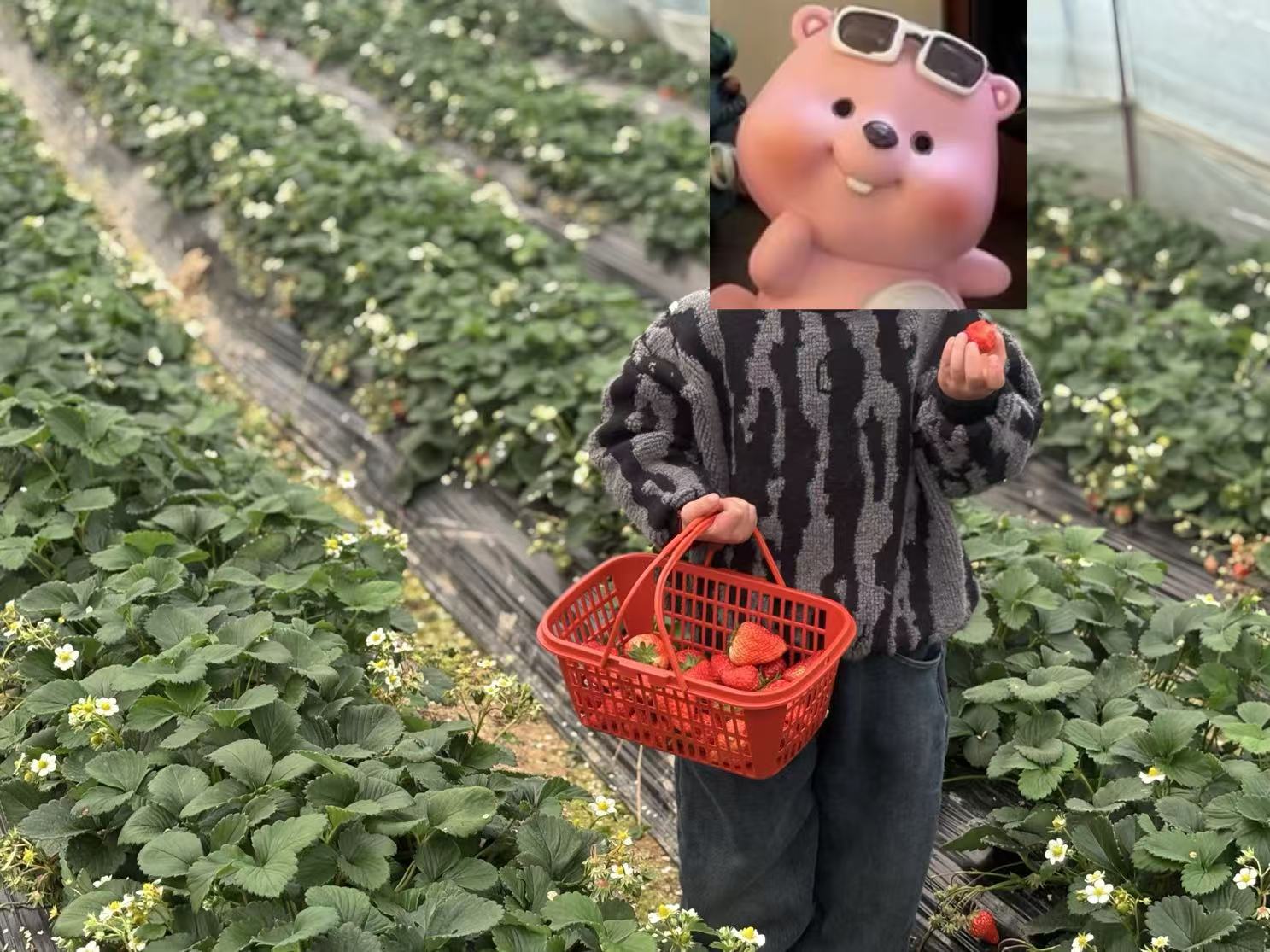 微信图片_20250224100537.jpg