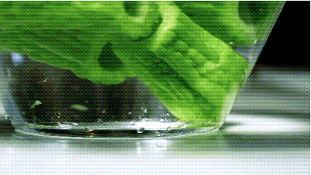 174041102967952532.gif