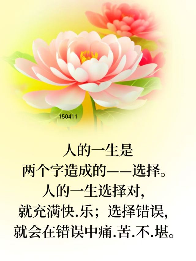20250225214422front2_0_407816_FmV3piBeTra-x9oUkXFdwl7UUO69.jpg