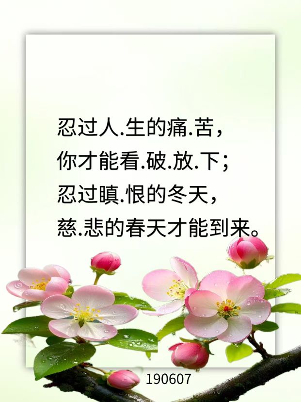 20250307221204front2_0_407816_Fqa5V5_cr0E94tDGIE_dGtToVXkQ.jpg