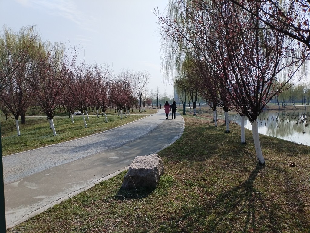 20250308174936front2_0_280452_FgoT_u1EDMe8KYzd_KDIca0Rehi2.jpg
