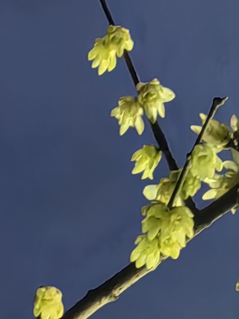20250312071821front2_0_198517_FkuMEDua4u-7-y7cVZhBFzmx16H8.jpg
