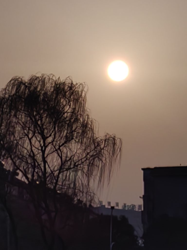 20250312092937front2_0_198517_FhbV7ETJlP4soUYUfMtkGmvCiju6.jpg
