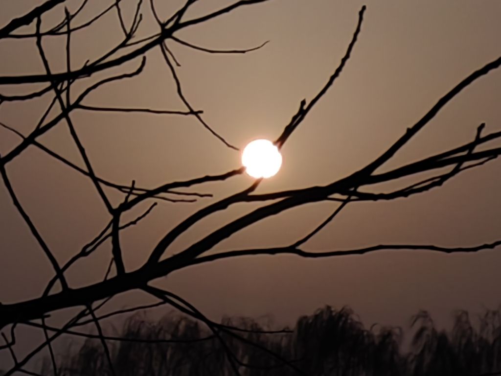 20250312092937front2_0_198517_Fr98rP0JBf3sFwS1rpwYWW1xUx_c.jpg