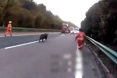 微信图片_20250313171006.png