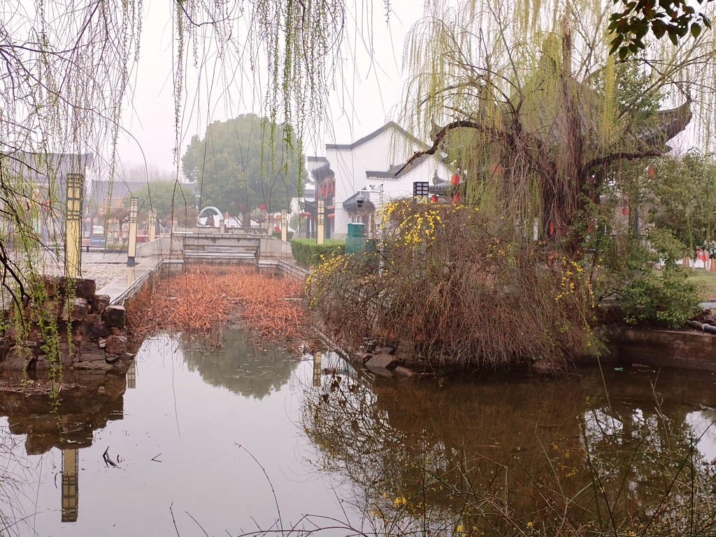 20250316105424front2_0_280452_Fno_BkwdRdu2MLunsWe30OuIzSVL.jpg