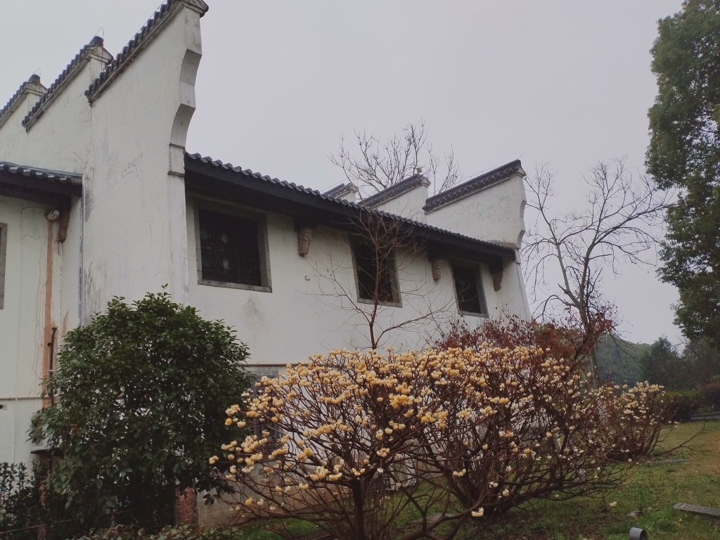 20250316105423front2_0_280452_FsKe9OHXQ_4HmXGSnG_Rj_-vZ5MY.jpg