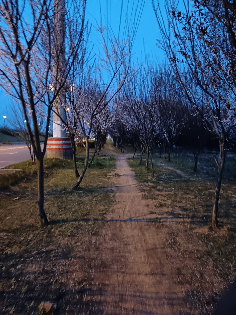20250322195211front2_0_310095_FnYsN-JS-xx0B9t4AMxBltXiuBFt.jpg
