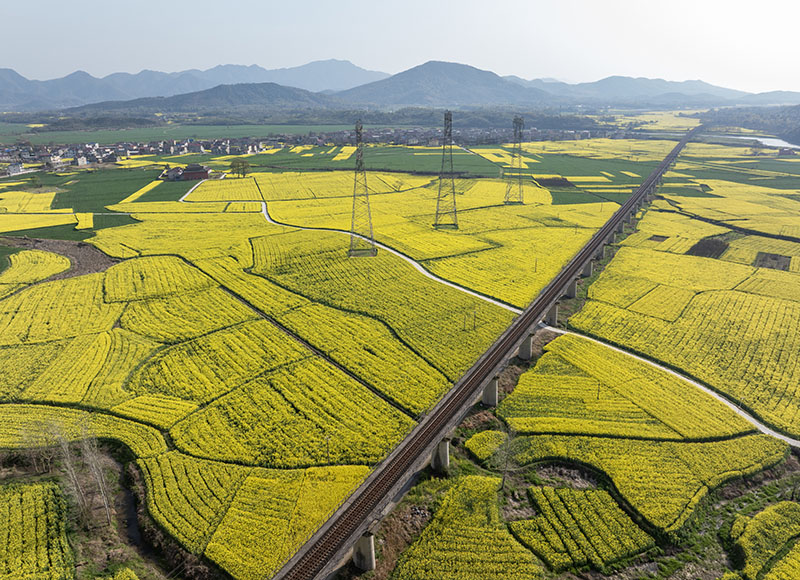 DJI_20250324161149_0002_D.jpg